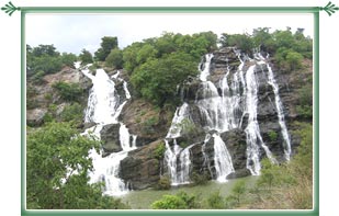 Shivanasamudra Waterfalls