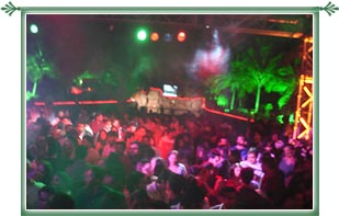 Bangalore Discotheques