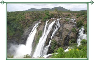 Shivanasamudra Waterfalls Bangalore